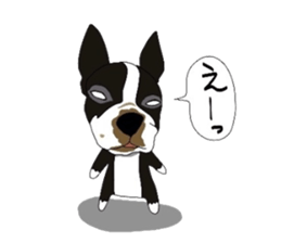 Boston-Terrier-association sticker #9361787
