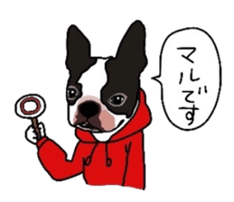 Boston-Terrier-association sticker #9361788