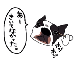 Boston-Terrier-association sticker #9361789