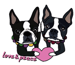Boston-Terrier-association sticker #9361792