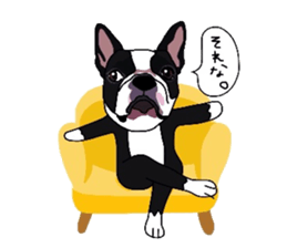 Boston-Terrier-association sticker #9361794