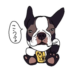 Boston-Terrier-association sticker #9361796