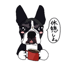 Boston-Terrier-association sticker #9361797