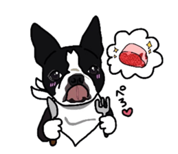 Boston-Terrier-association sticker #9361798