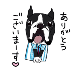 Boston-Terrier-association sticker #9361800