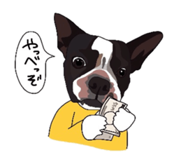 Boston-Terrier-association sticker #9361804