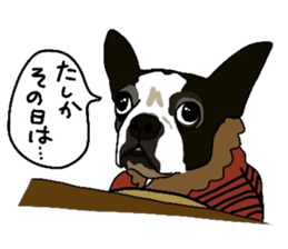 Boston-Terrier-association sticker #9361805