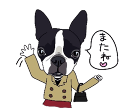 Boston-Terrier-association sticker #9361806