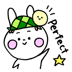 Happy and fickle rabbit HAPIUSA