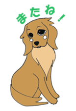 kawaii dachshund sticker #9368851