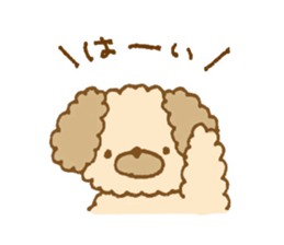Fluffy toy poodle of sticker sticker #9370211