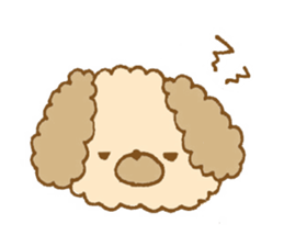 Fluffy toy poodle of sticker sticker #9370236