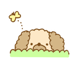 Fluffy toy poodle of sticker sticker #9370247