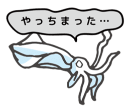 big fin reef squid/eging sticker #9370666