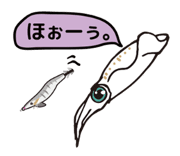 big fin reef squid/eging sticker #9370671