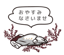 big fin reef squid/eging sticker #9370681