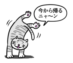 Stupid every day sticker #9371140