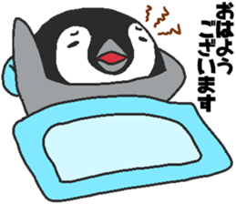 Every day Peta [Penpengin] sticker #9371248