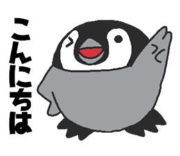 Every day Peta [Penpengin] sticker #9371249