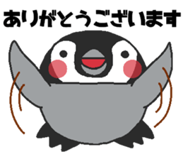 Every day Peta [Penpengin] sticker #9371252