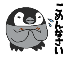 Every day Peta [Penpengin] sticker #9371255