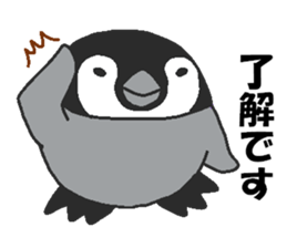 Every day Peta [Penpengin] sticker #9371260