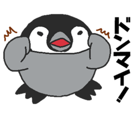 Every day Peta [Penpengin] sticker #9371268