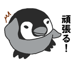 Every day Peta [Penpengin] sticker #9371275