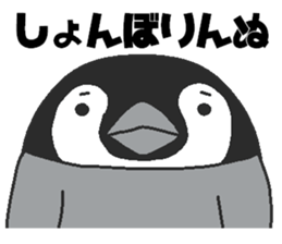 Every day Peta [Penpengin] sticker #9371279