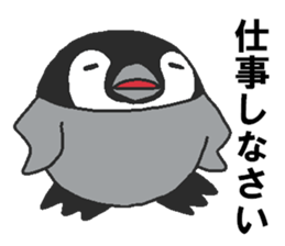 Every day Peta [Penpengin] sticker #9371286