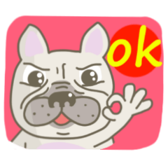 FRENCH BULLDOG~MAN TOU