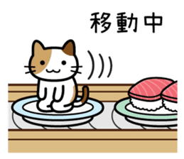Sushi Sushi cat sticker #9378344