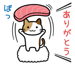 Sushi Sushi cat sticker #9378359