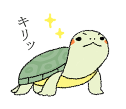 Green turtle Jyunichi sticker #9379971