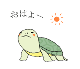 Green turtle Jyunichi sticker #9379976