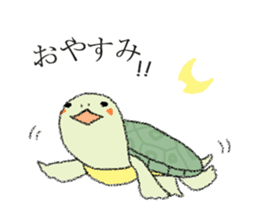 Green turtle Jyunichi sticker #9379977