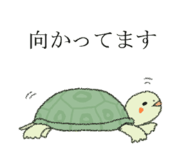 Green turtle Jyunichi sticker #9379996