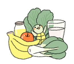 Green turtle Jyunichi sticker #9380004