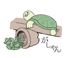 Green turtle Jyunichi sticker #9380005