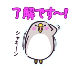 "Pechogin" of the penguin sticker #9382504