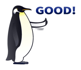 Emperor Penguin the humorous sticker #9384144