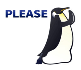 Emperor Penguin the humorous sticker #9384154