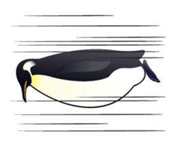 Emperor Penguin the humorous sticker #9384161