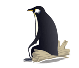 Emperor Penguin the humorous sticker #9384182