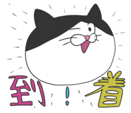 A gray cat and a bicolor cat. sticker #9384904