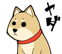 Shiba Inu dog man sticker #9387105