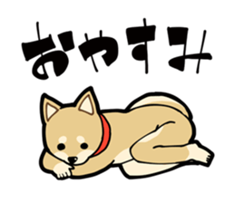 Shiba Inu dog man sticker #9387109