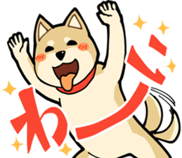 Shiba Inu dog man sticker #9387110