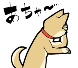 Shiba Inu dog man sticker #9387112