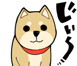 Shiba Inu dog man sticker #9387118